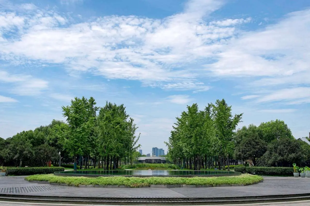初中英语作文:我保护树的方法(七年级英语作文My Ways to Protect Trees 5篇60词带翻译)