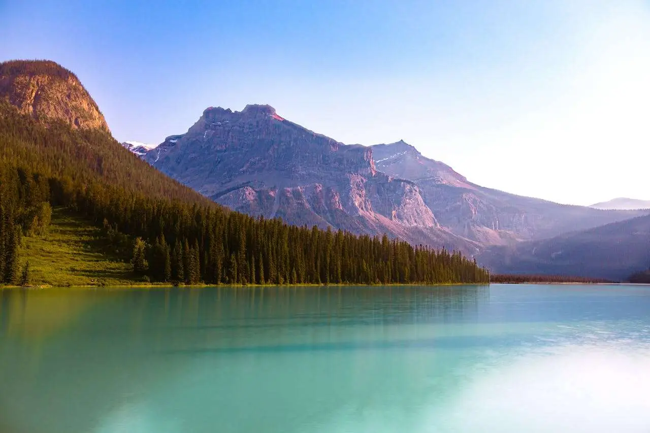 大学英语记叙文写作指南：讲解5篇记叙文写作技巧+结构解析