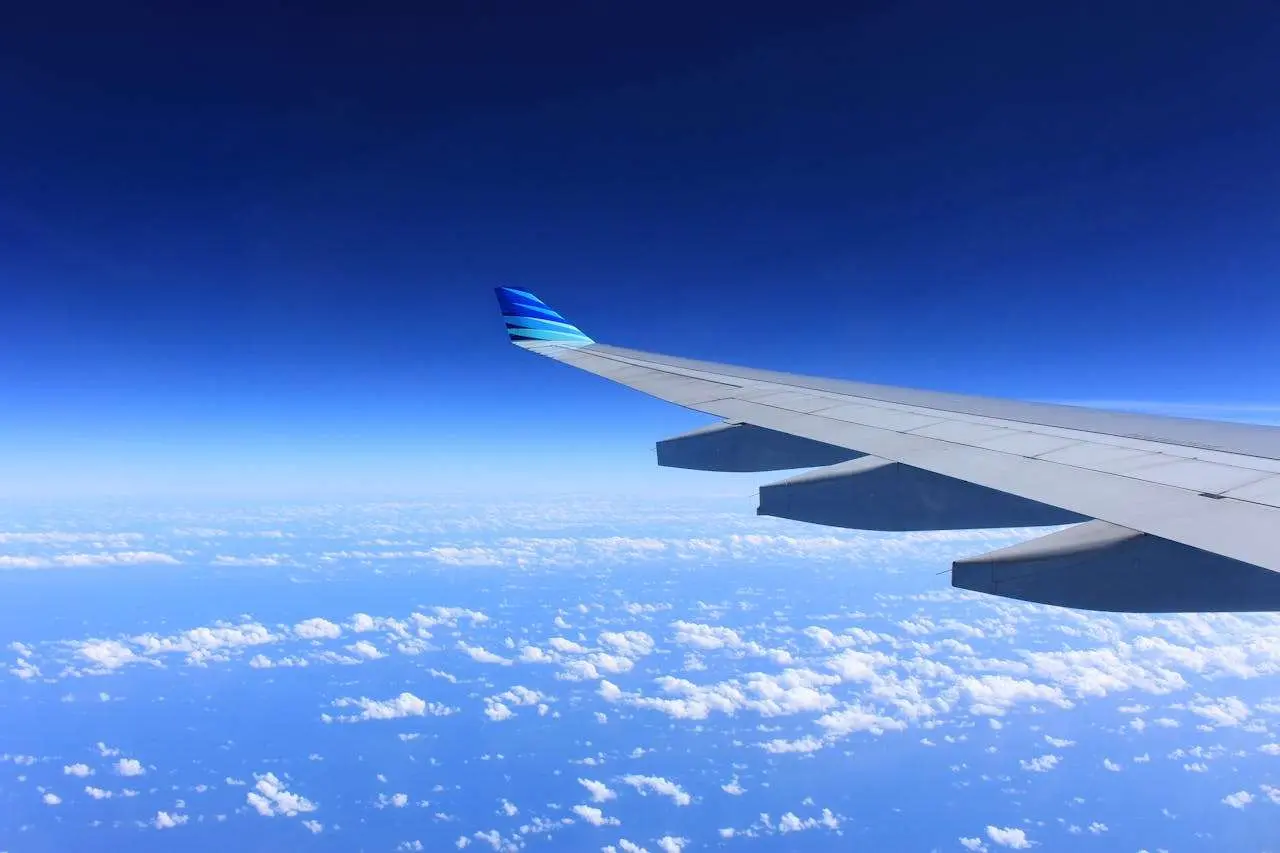 水滴英语小短文，用阅读记住10000单词（能力和行为主题 to fly 飞行，高效记单词）