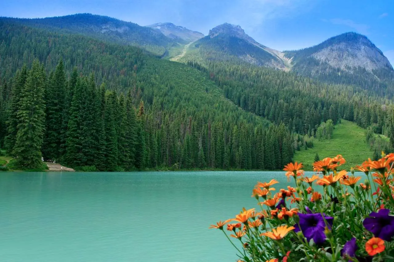 科技与生活：高中英语作文7篇（含人工智能话题）