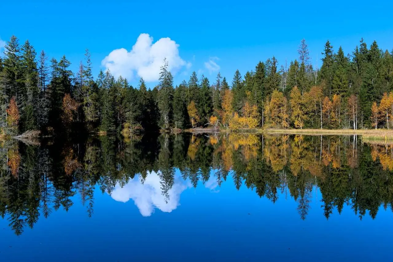 环保主题英语作文5篇：大学生必看的绿色生活写作指南