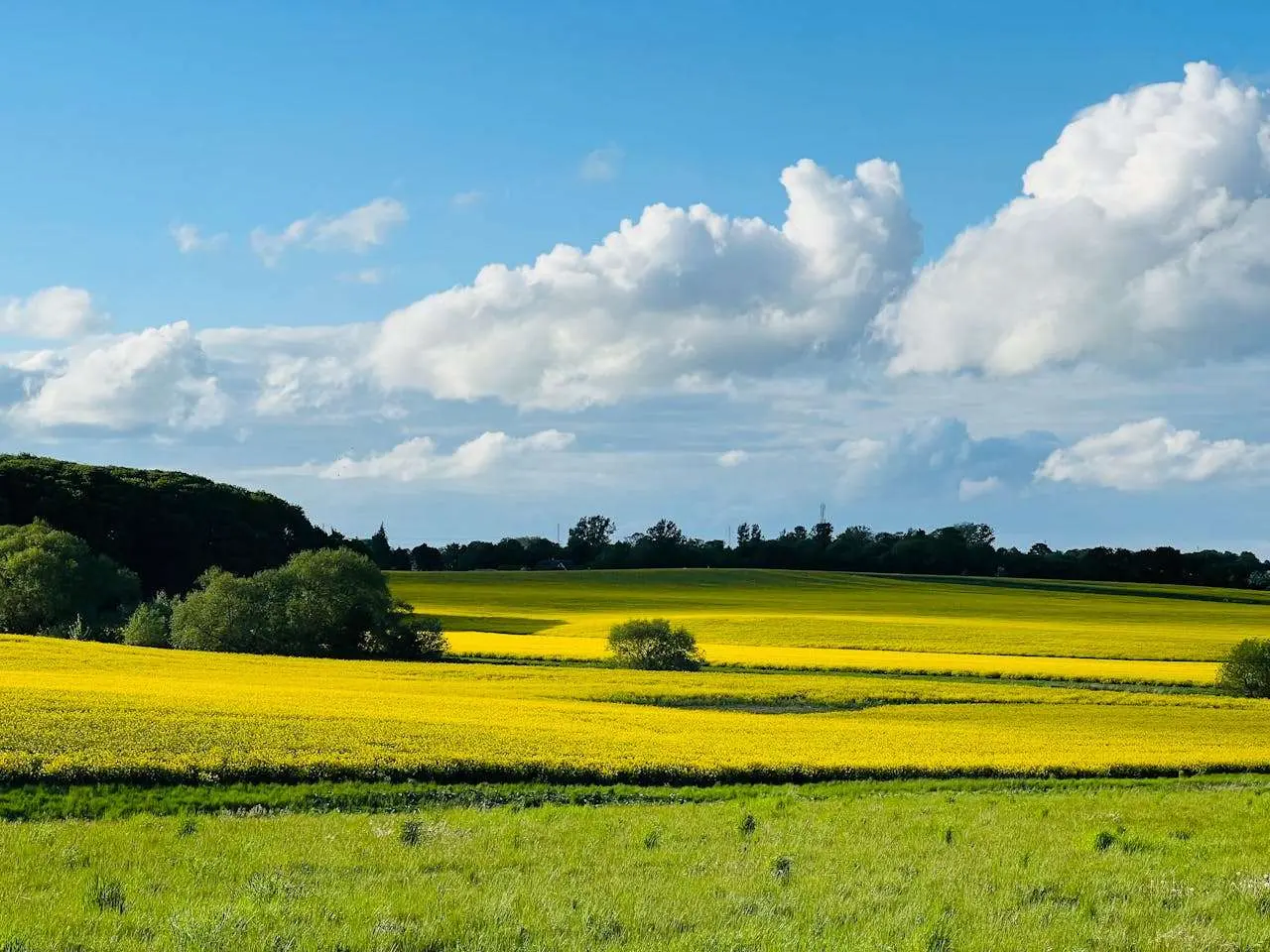 四季之美：小学生描写季节的英语作文4篇
