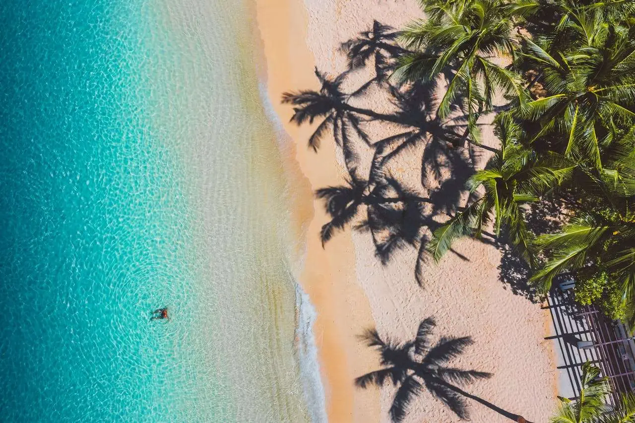 大学英语应用文写作大全：书信、通知、演讲稿10篇