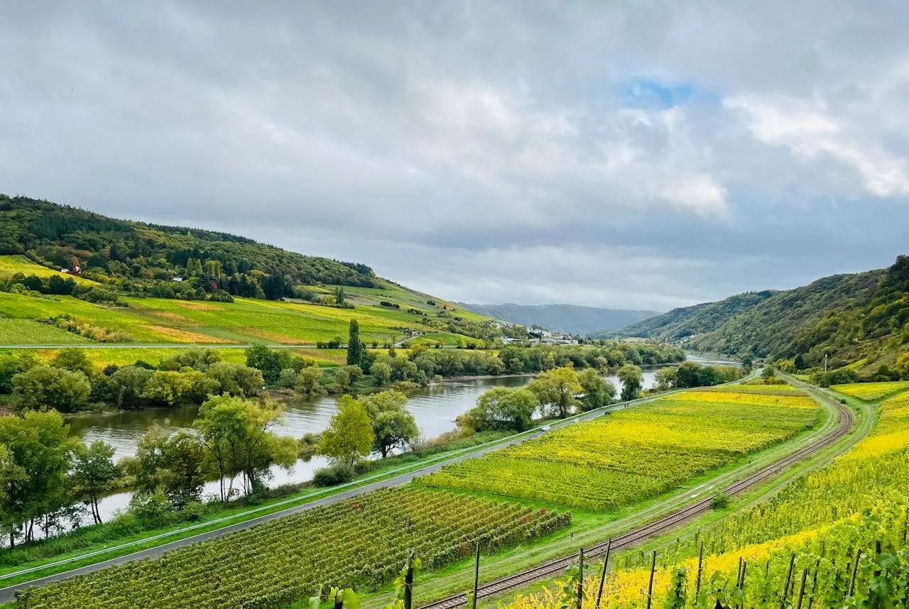 春天的英文描写指南：5篇经典美文教你写出诗意的季节