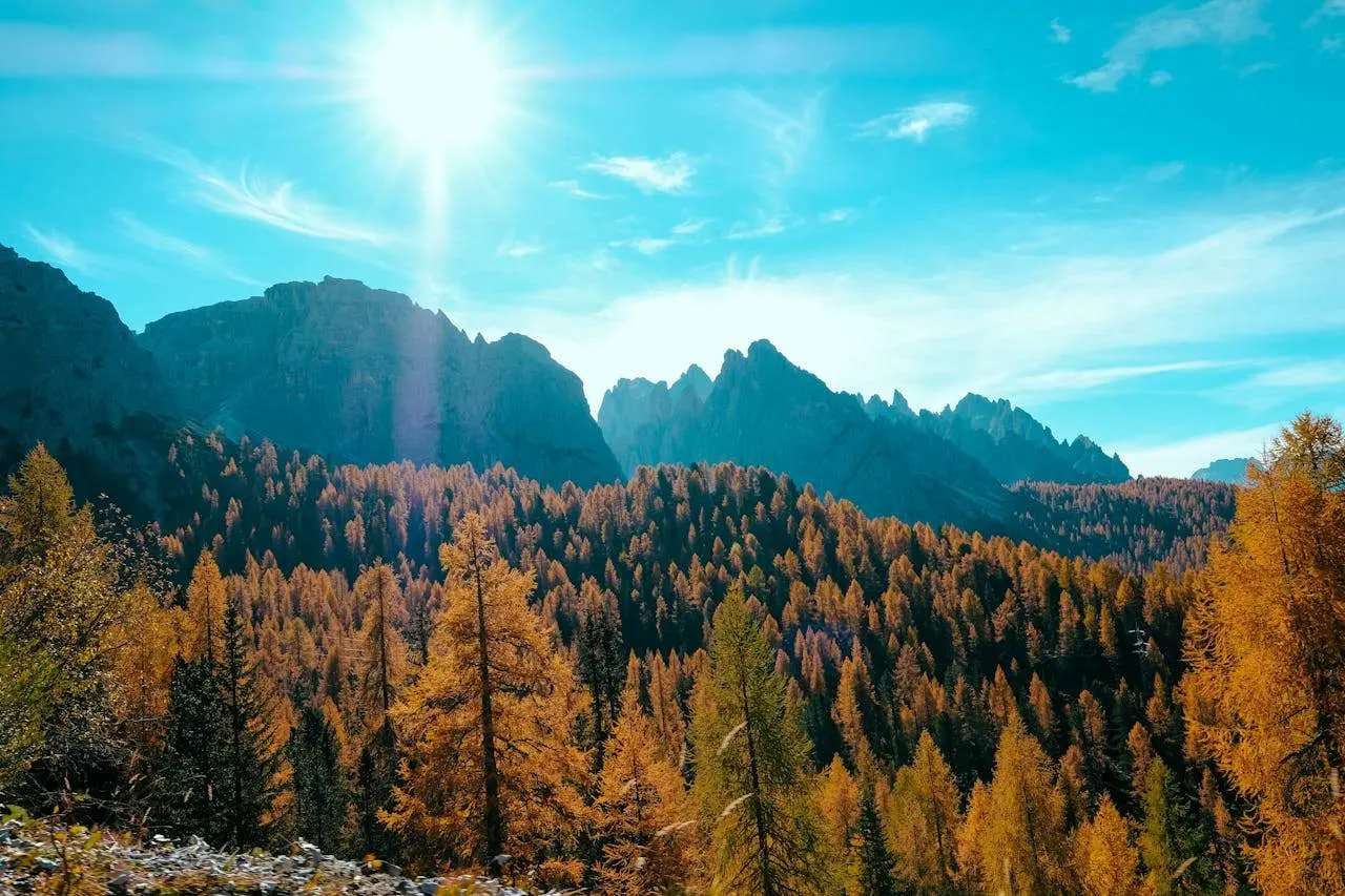 压力管理与心理健康：大学生英语作文精选5篇