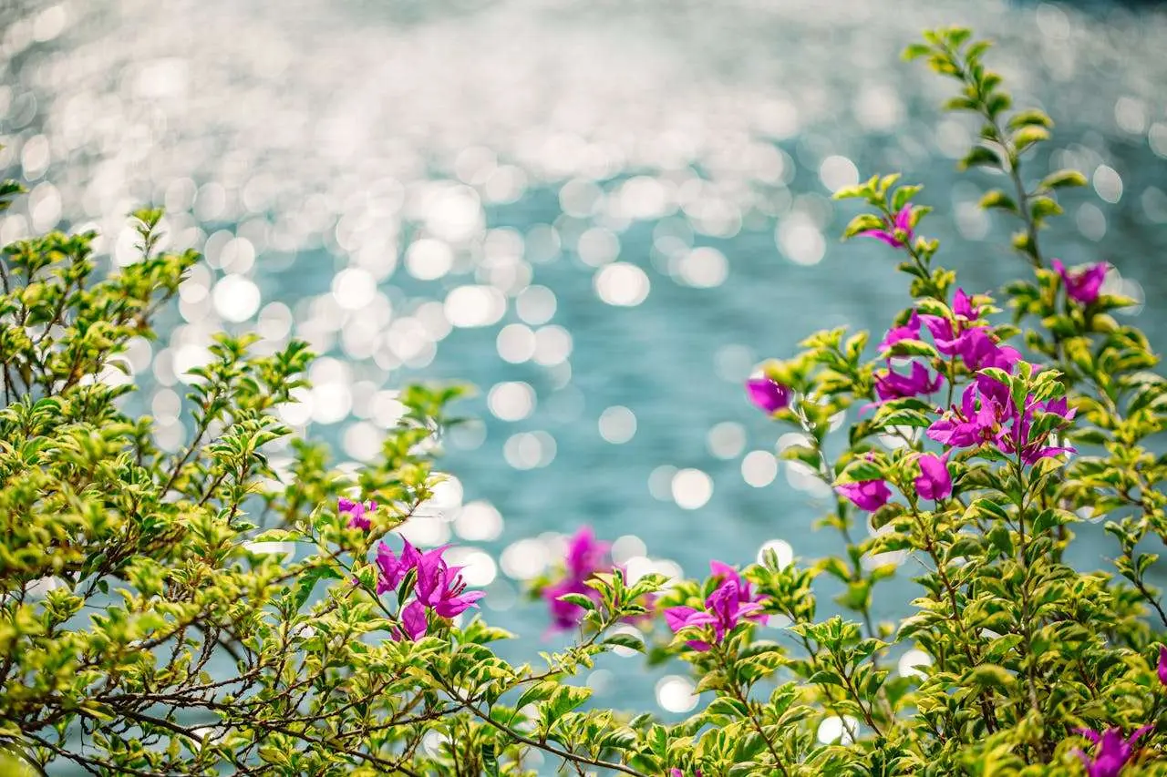 我的家乡：3篇初中英语作文+文化表达技巧