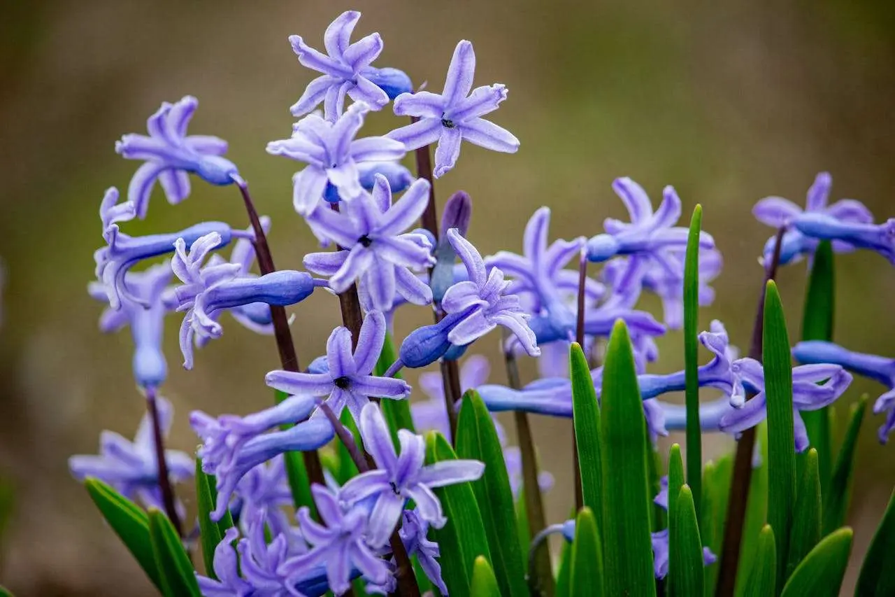 压力与成长：高中生如何写好心理话题英语作文？学会用英语表达心理状态与成长感悟