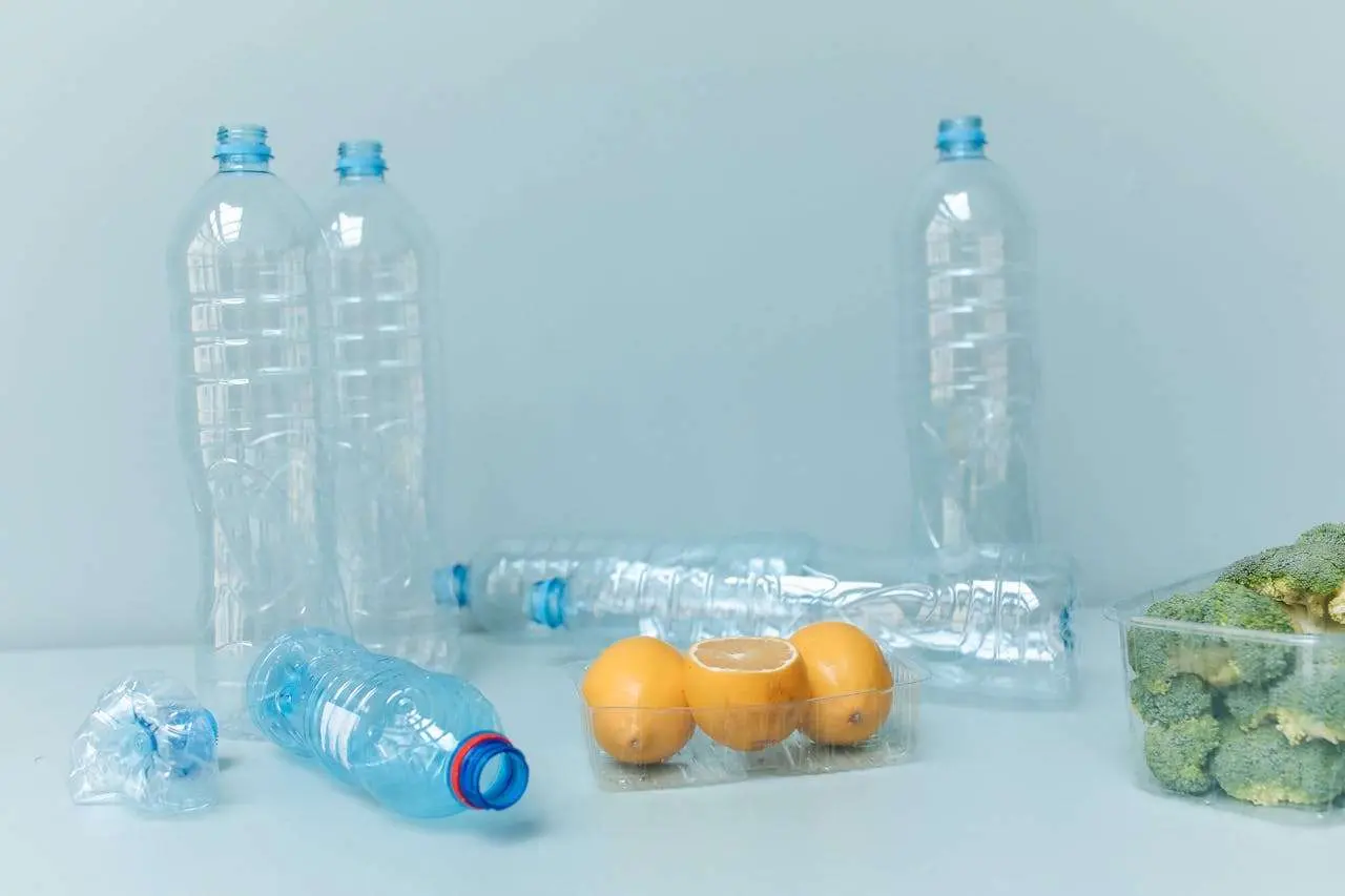 环境保护英语作文：5篇针对环保热点话题高中生必读+写作技巧