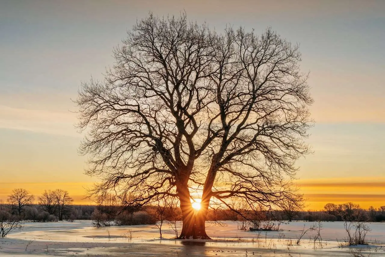 客户投诉别慌！9个专业英文回复邮件模板教你化危机为转机