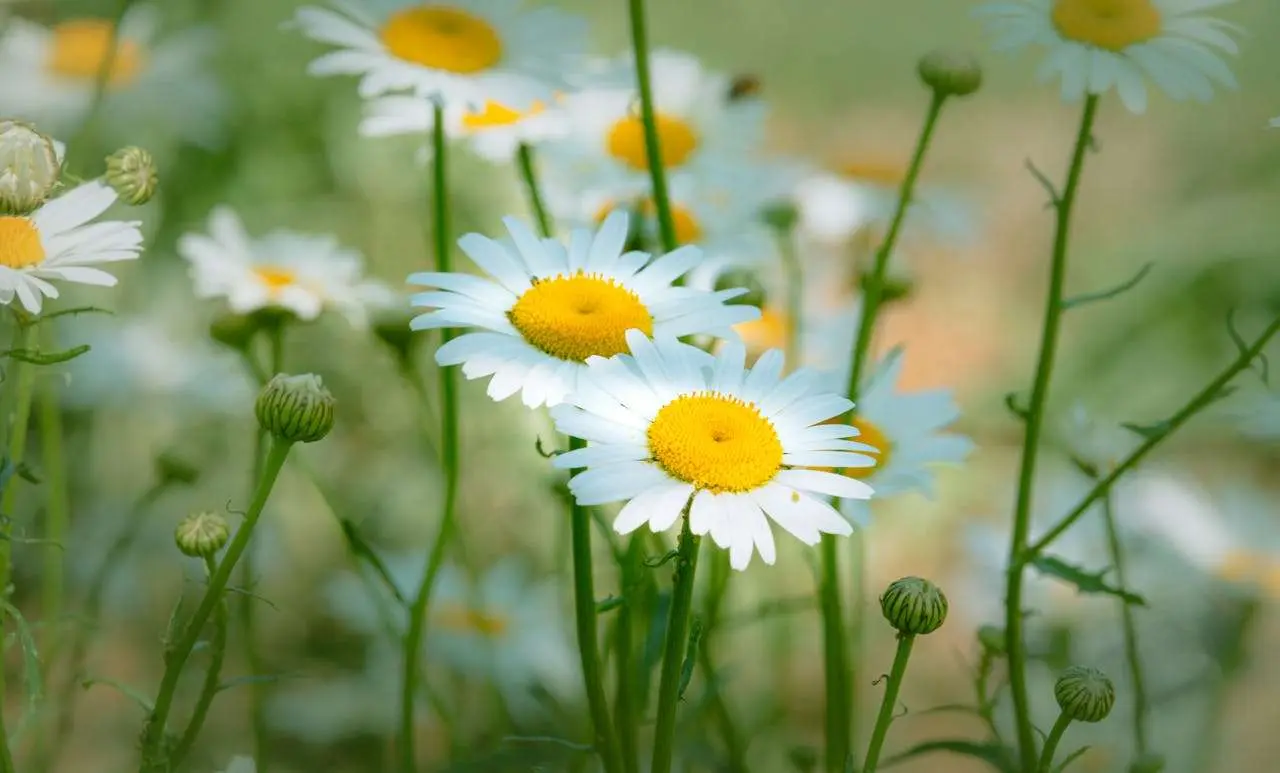 如何写好英语记叙文？3篇范文教你讲好一个故事