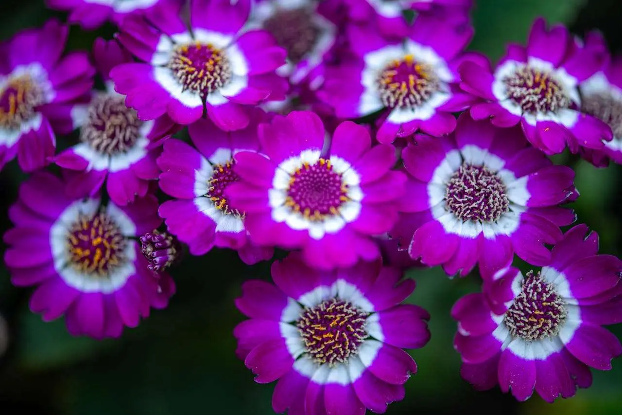 数字时代的学习方式：大学英语作文5篇深度好文