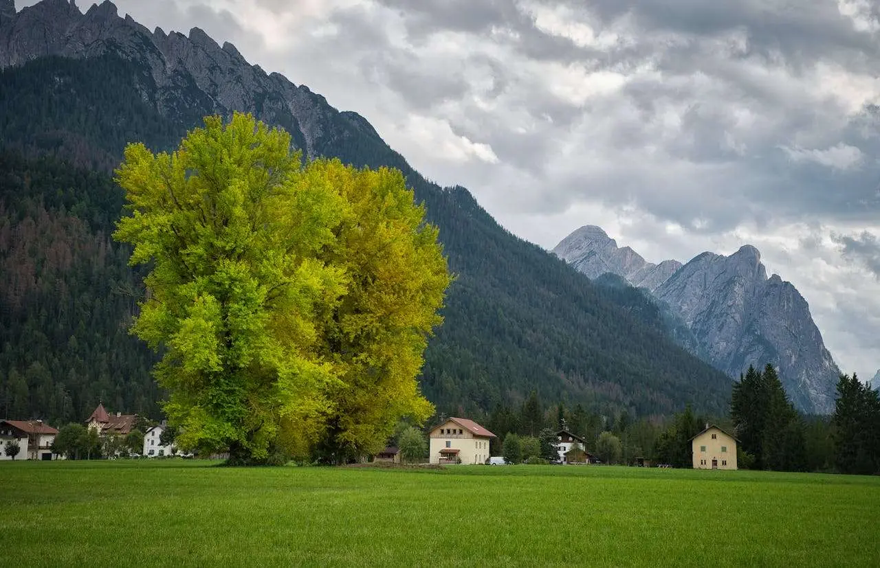 我的家乡：5篇优美初中英语作文+文化表达