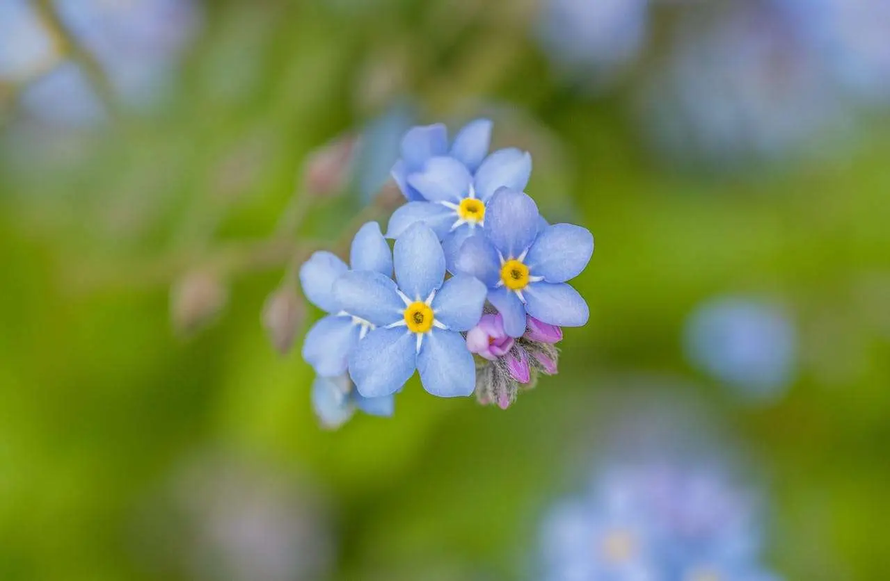 初中英语作文提升秘籍：7篇英语作文带你突破写作瓶颈