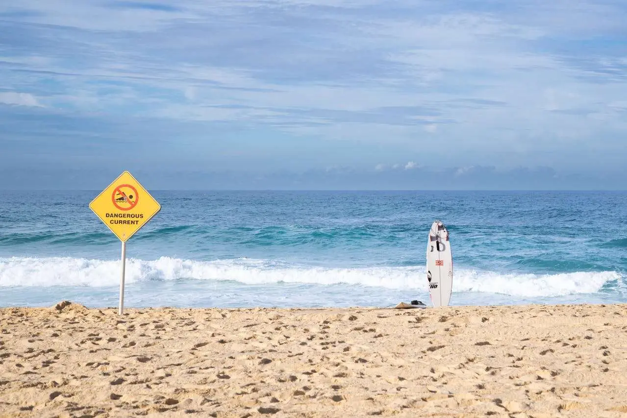 环保从我做起：5篇高中生必读的环境保护英语作文