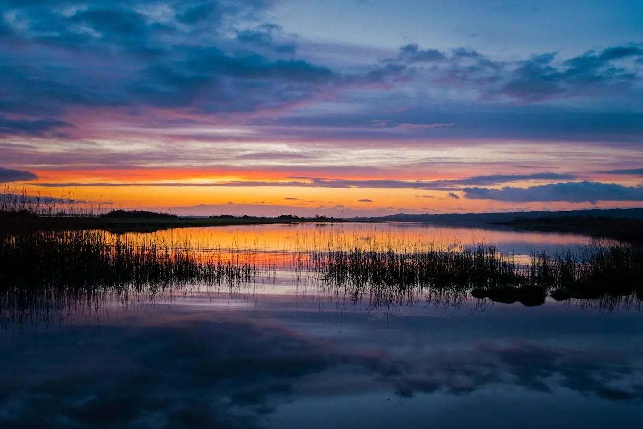 孤独中的觉醒：从瓦尔登湖学英语中的哲思表达