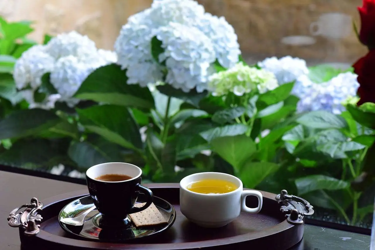 跨文化交流英语作文：3篇大学英语作文理解文化差异与包容