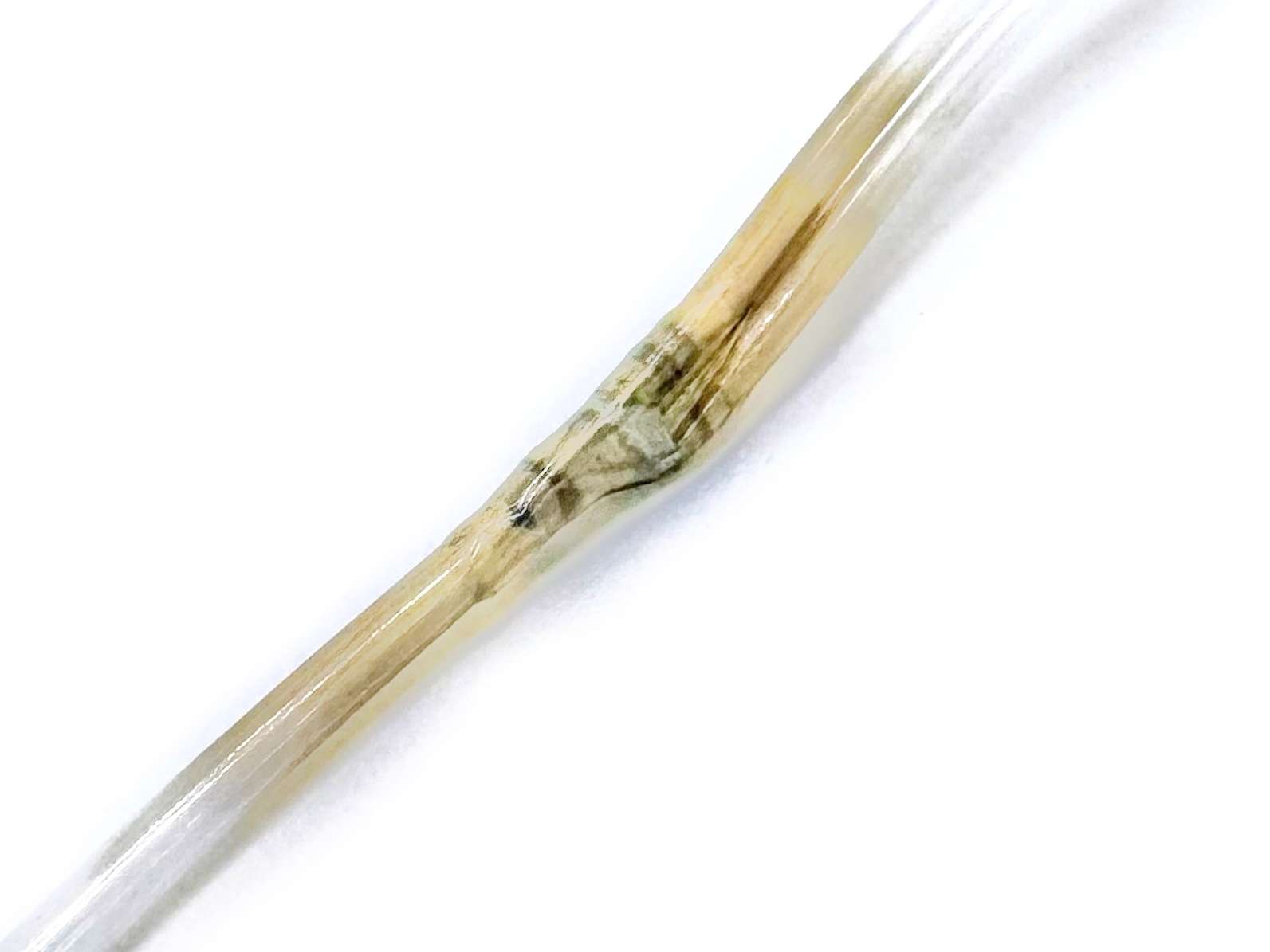 GIF-1100 Air Water Channel Assembly / LACAWC-GIF-1100