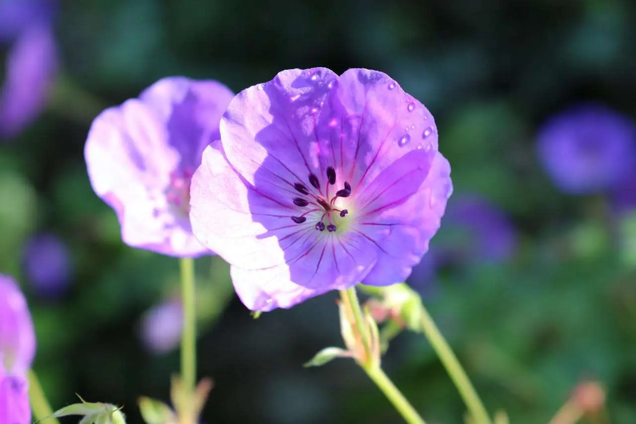 初中英语作文:关于劳动体验的英语作文(九年级英语作文劳动体验5篇80词带翻译) 