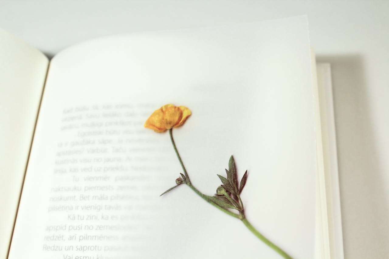 20个高分英语作文常用句型，背了就能用！