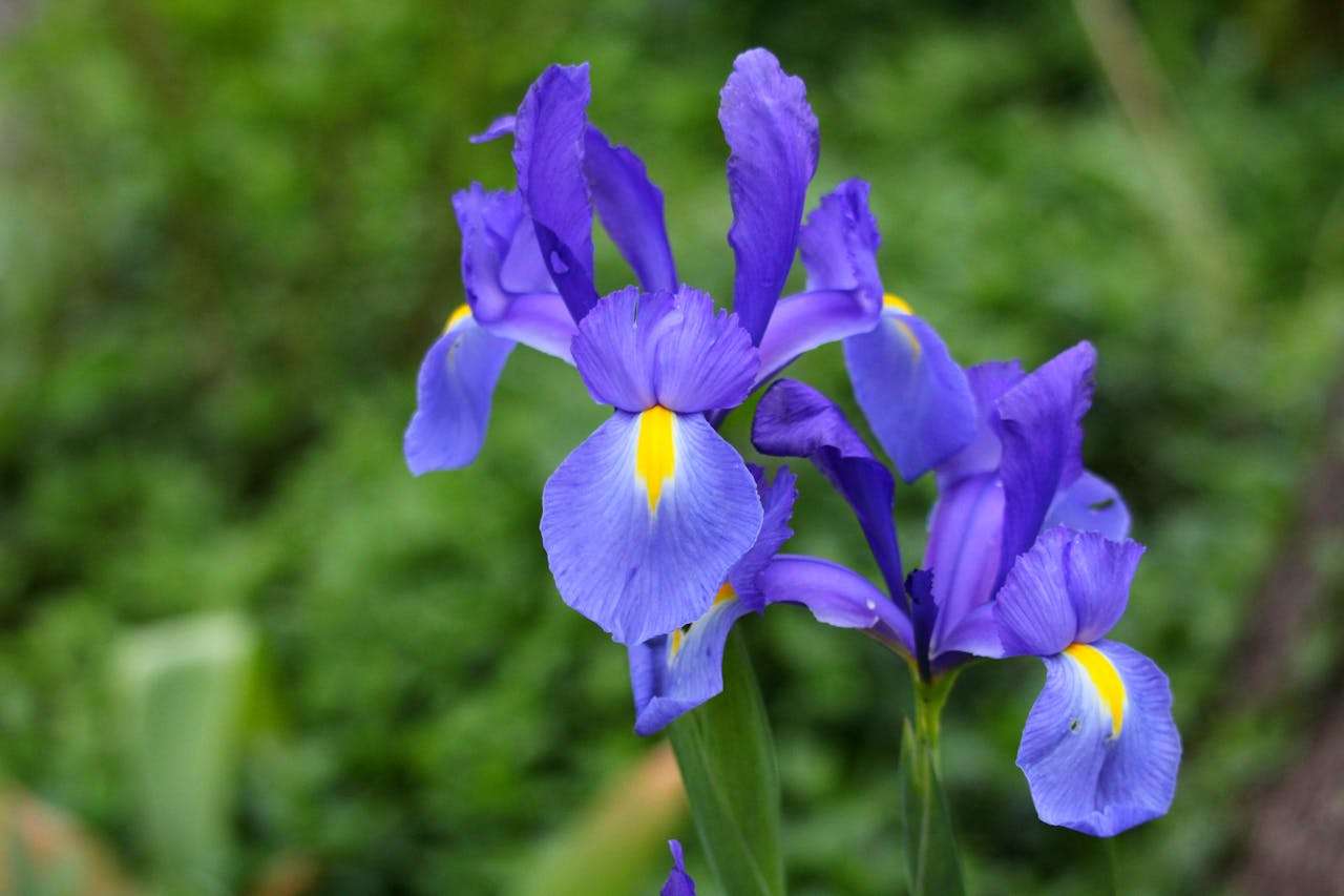 如何学好英语 How to Learn English Well？实用建议全解析