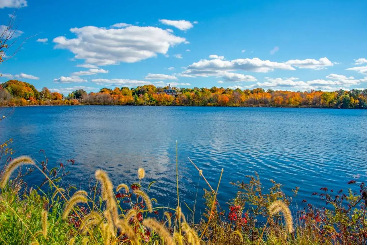 梦想与职业规划英语作文：5篇励志范文点燃你的未来