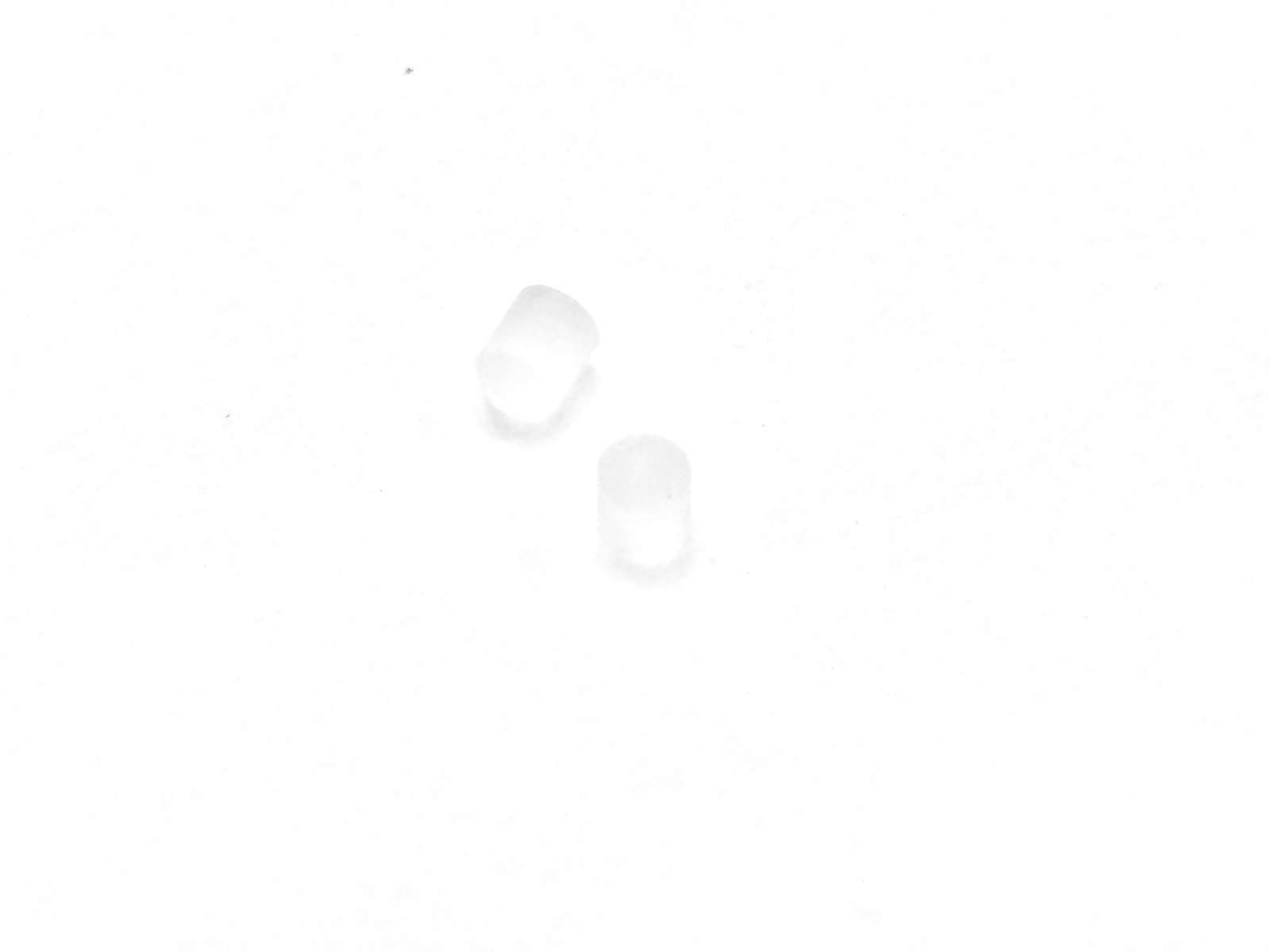 1.50 mm Light Guide Lens / LACLGC-150