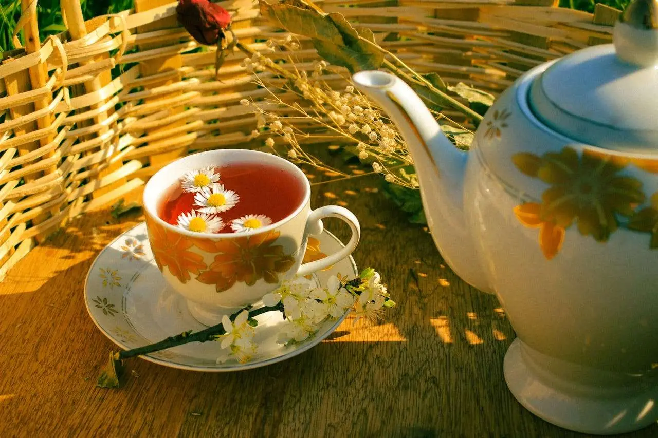 小学生必看：我的一天英语作文（4篇完整版）