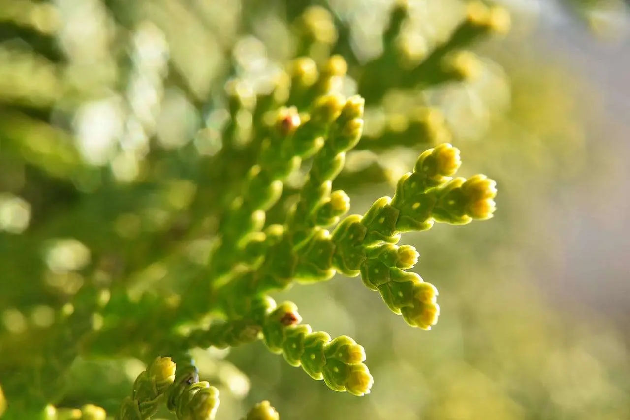 小学英语写作必备：四季的英语作文（春夏秋冬4篇范文）