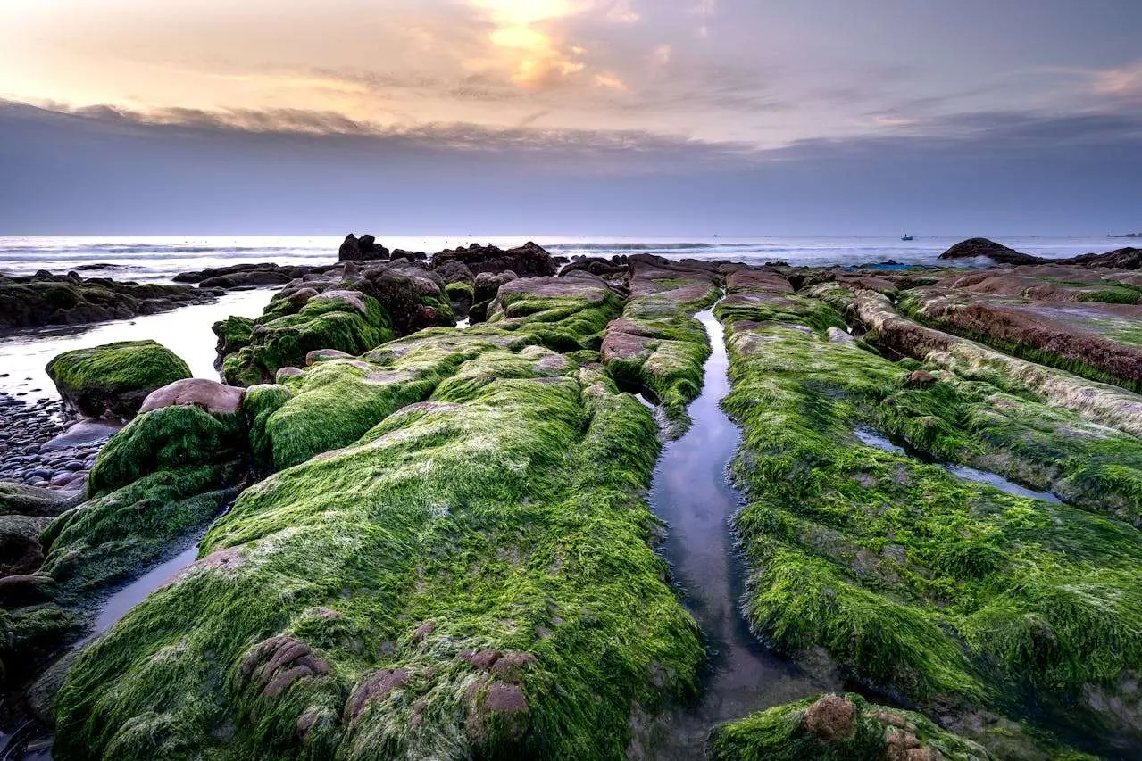 我的未来计划：3篇初中英语作文范文+高分写作技巧