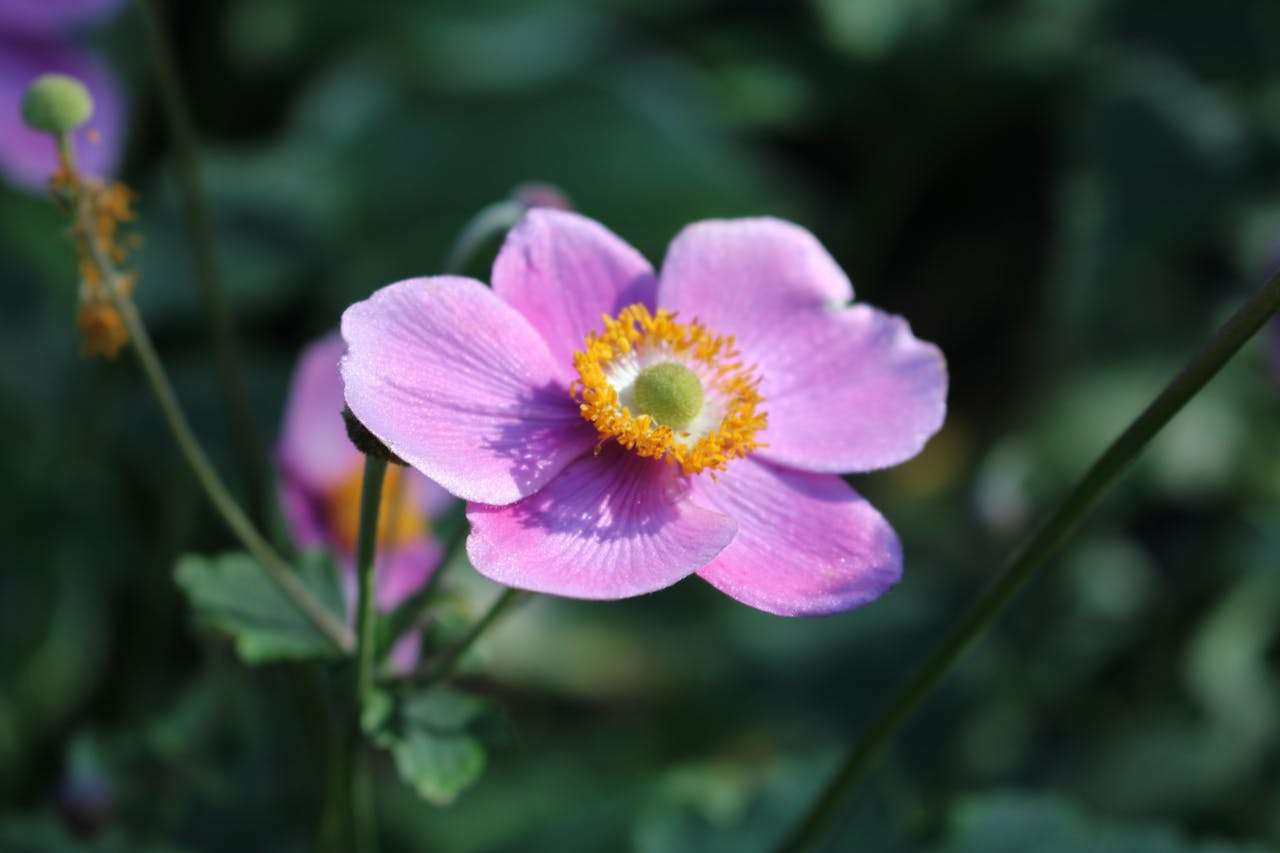 学校活动英语作文：运动会、艺术节、社团经历英语作文6篇