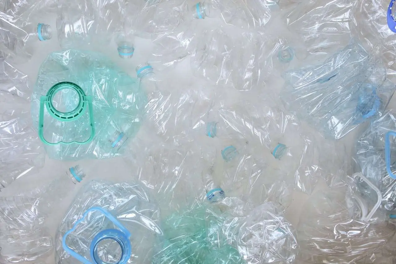 环保主题英语作文范文4篇：从气候变化到绿色生活