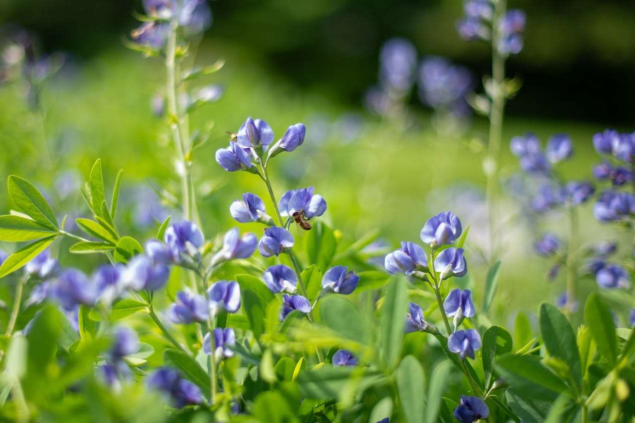 一次难忘的经历：3篇初中英语作文+写作思路解析