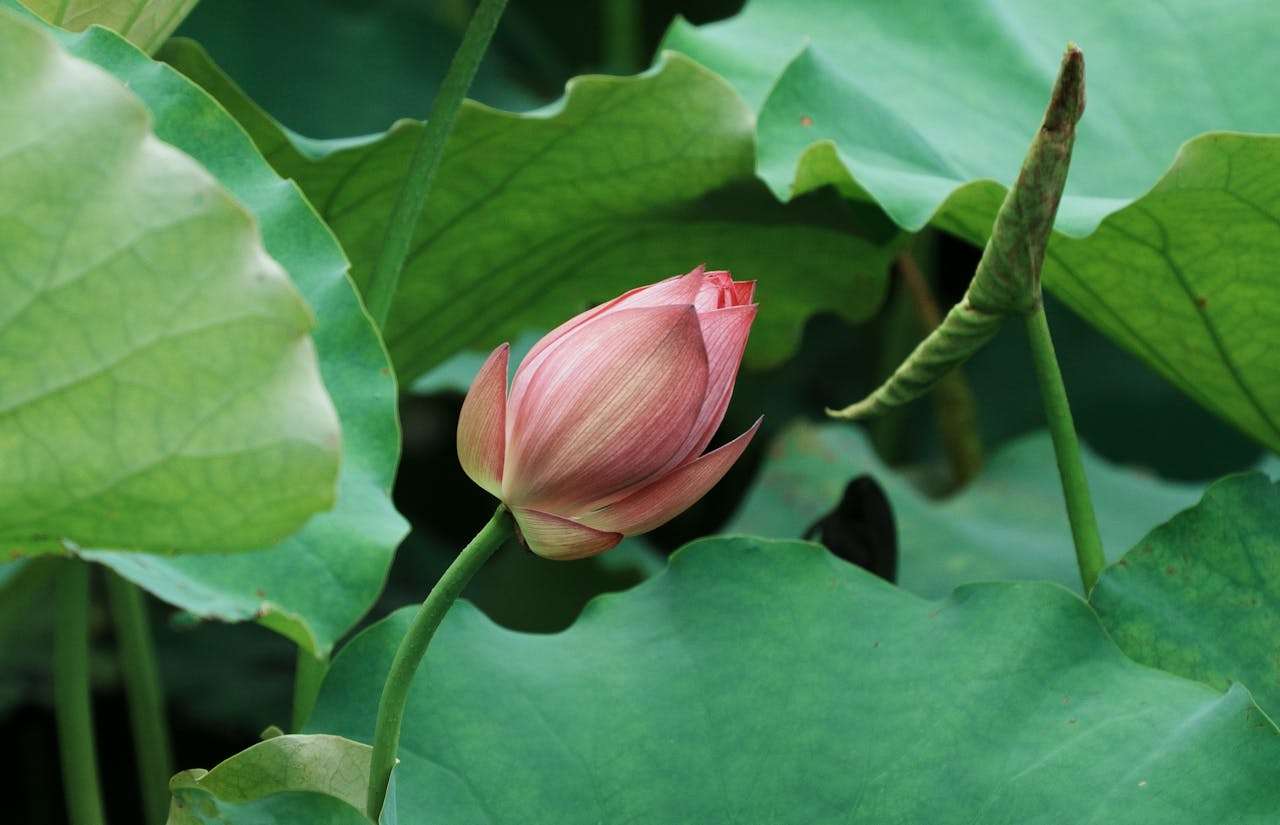 我的老师：5篇感人初中英语作文+写作思路解析