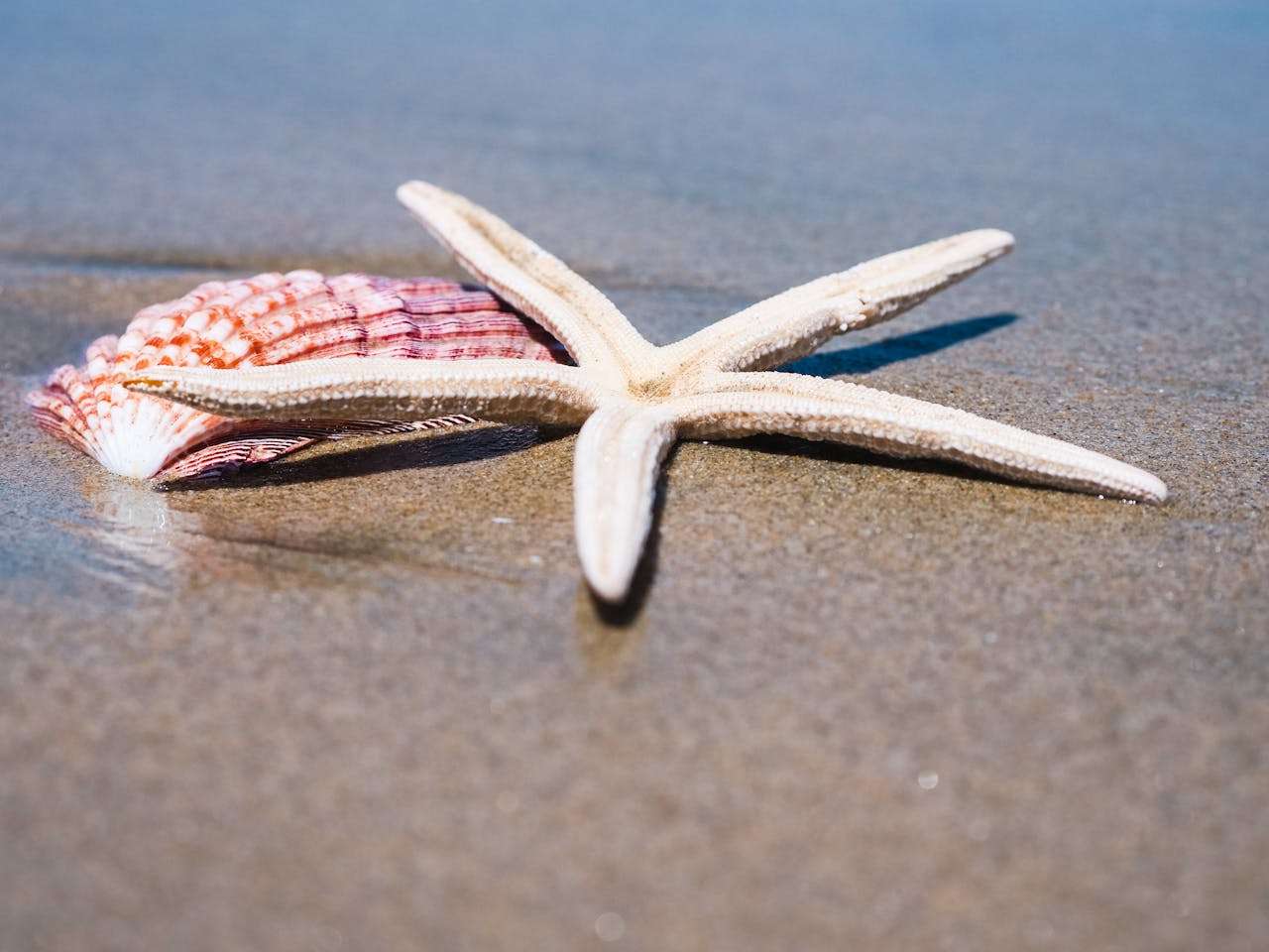 健康生活英语作文5篇：饮食、运动与心理健康