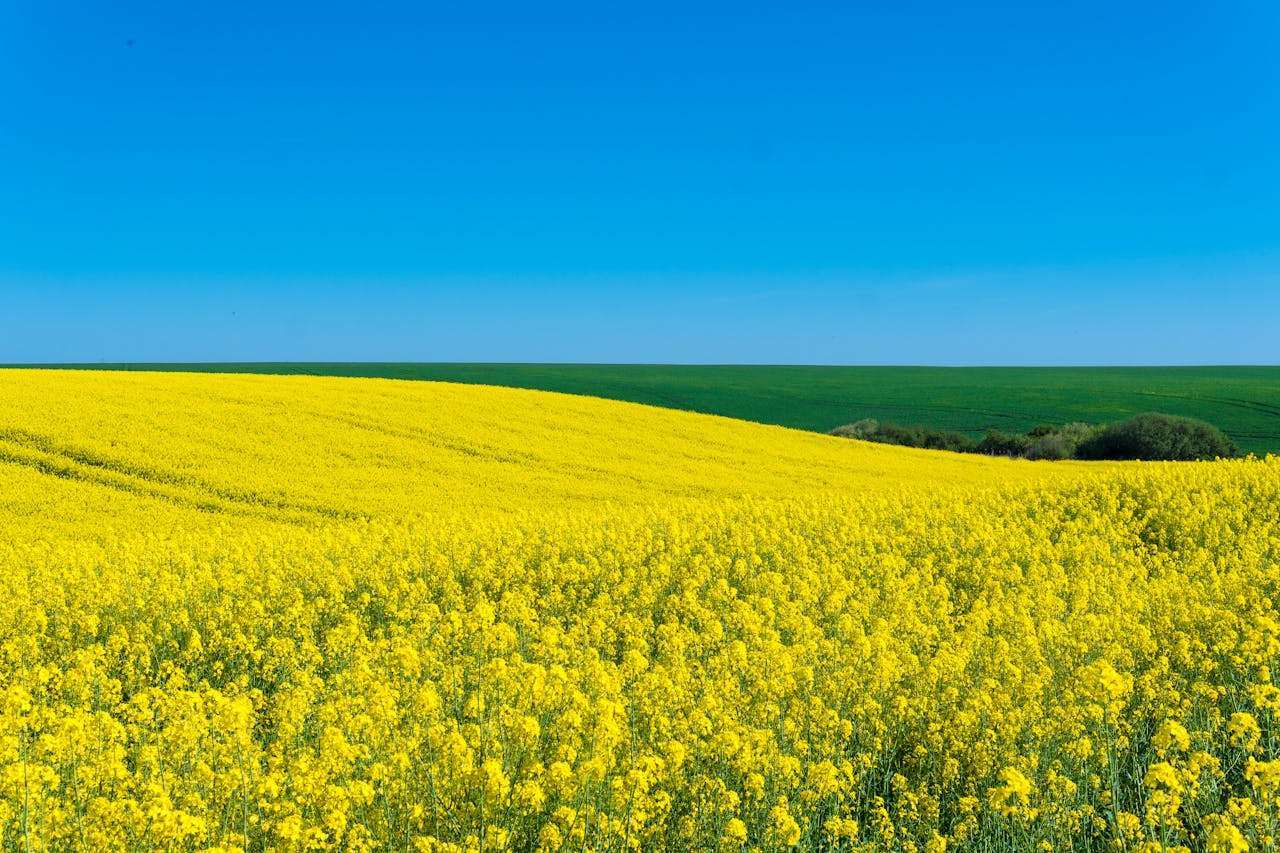 我的家乡：5篇初中英语作文+地理文化介绍与写作技巧