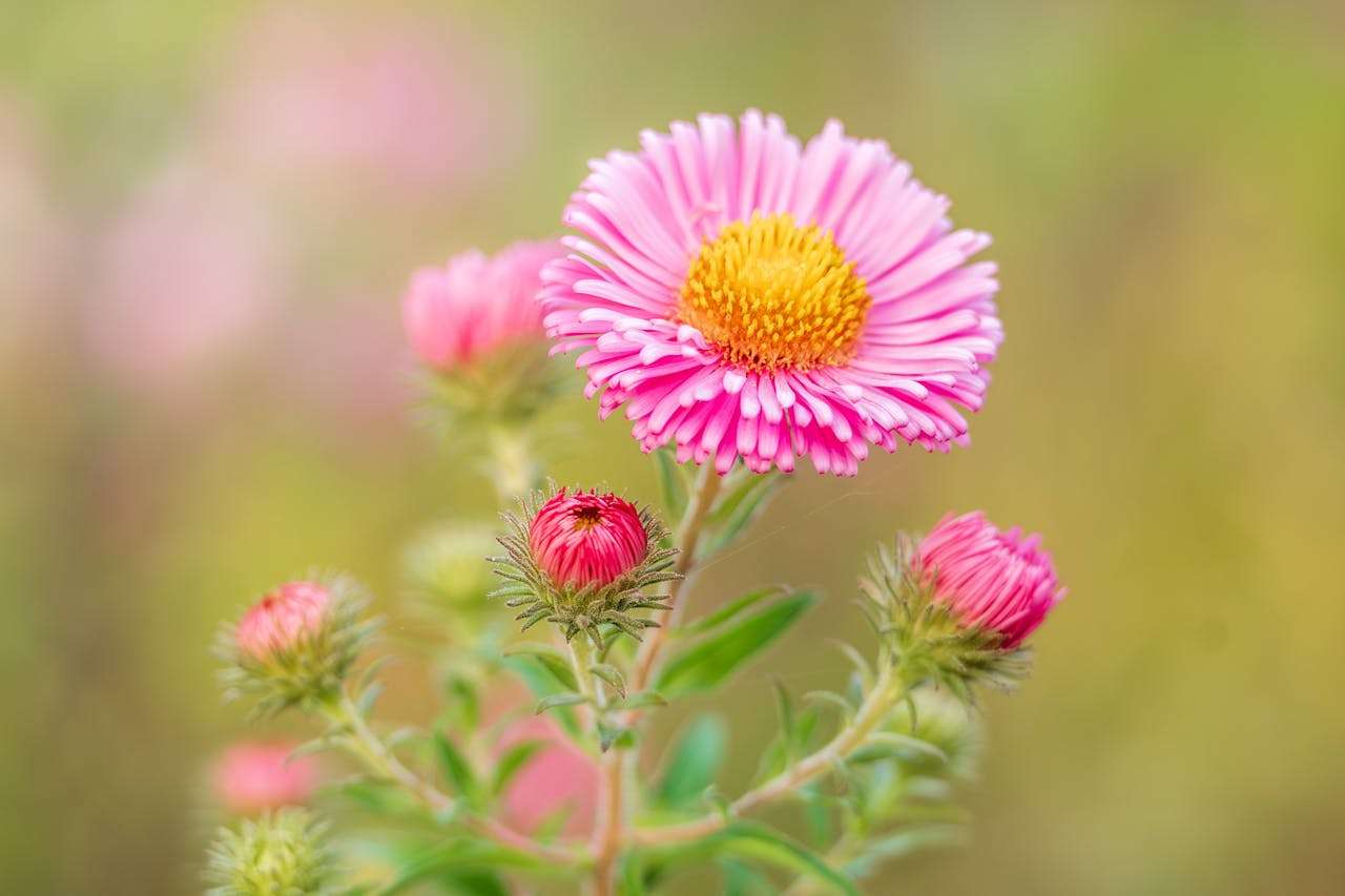 我的暑假计划：4篇初中英语作文范文分享