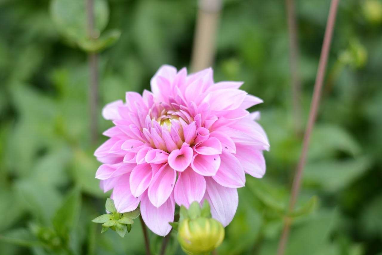 客户投诉怎么回？8个专业英文回复邮件模板解难题