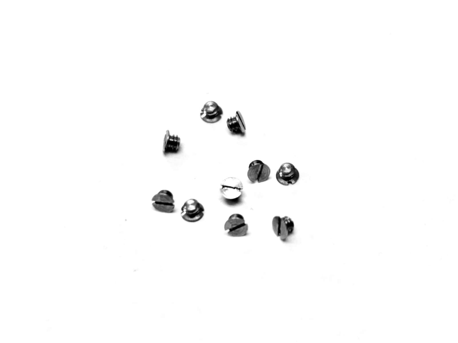 Flat Head Slotted for Distal Tip Mount / LACSC-017
