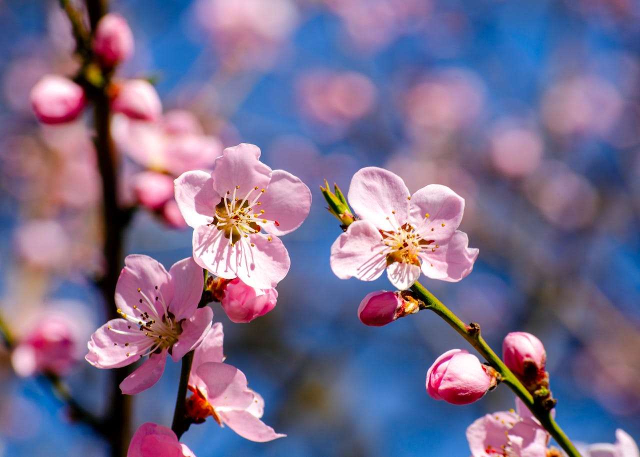 跨文化交流英语作文6篇：全球化背景下的大学生视角