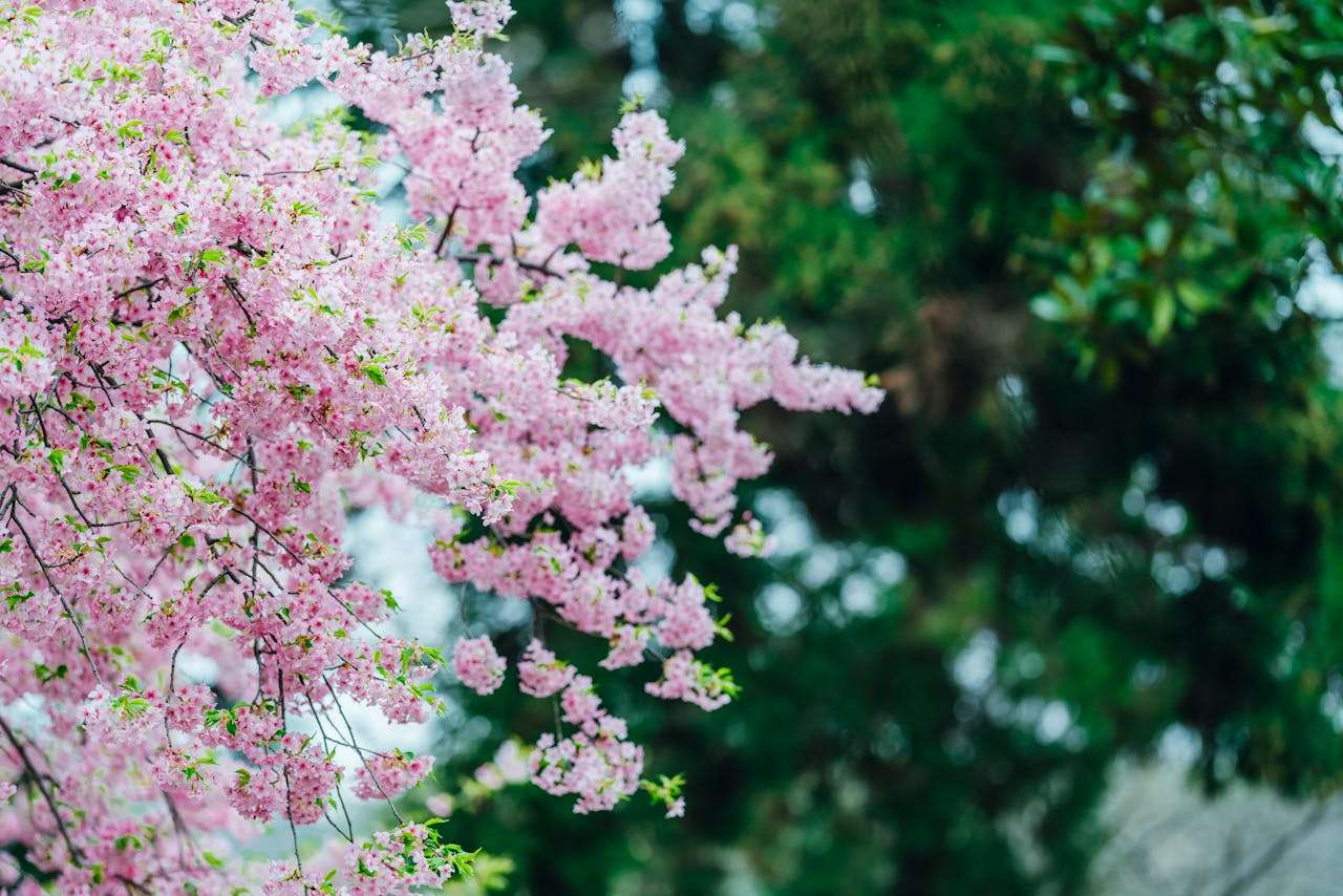 节日营销怎么做？7个英文促销邮件模板提升客户打开率
