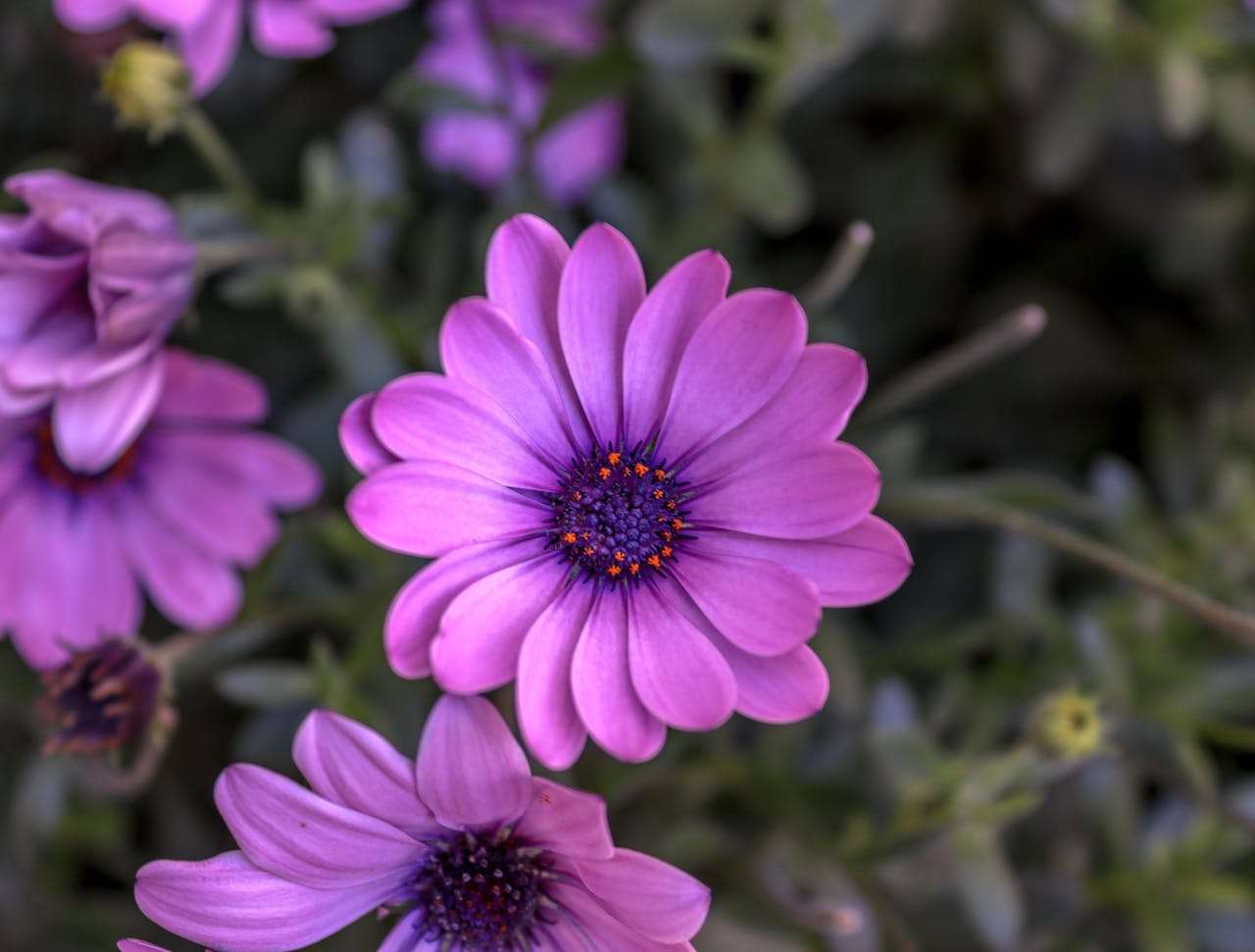 提升信任感：8个英文售后服务邮件模板，留住回头客