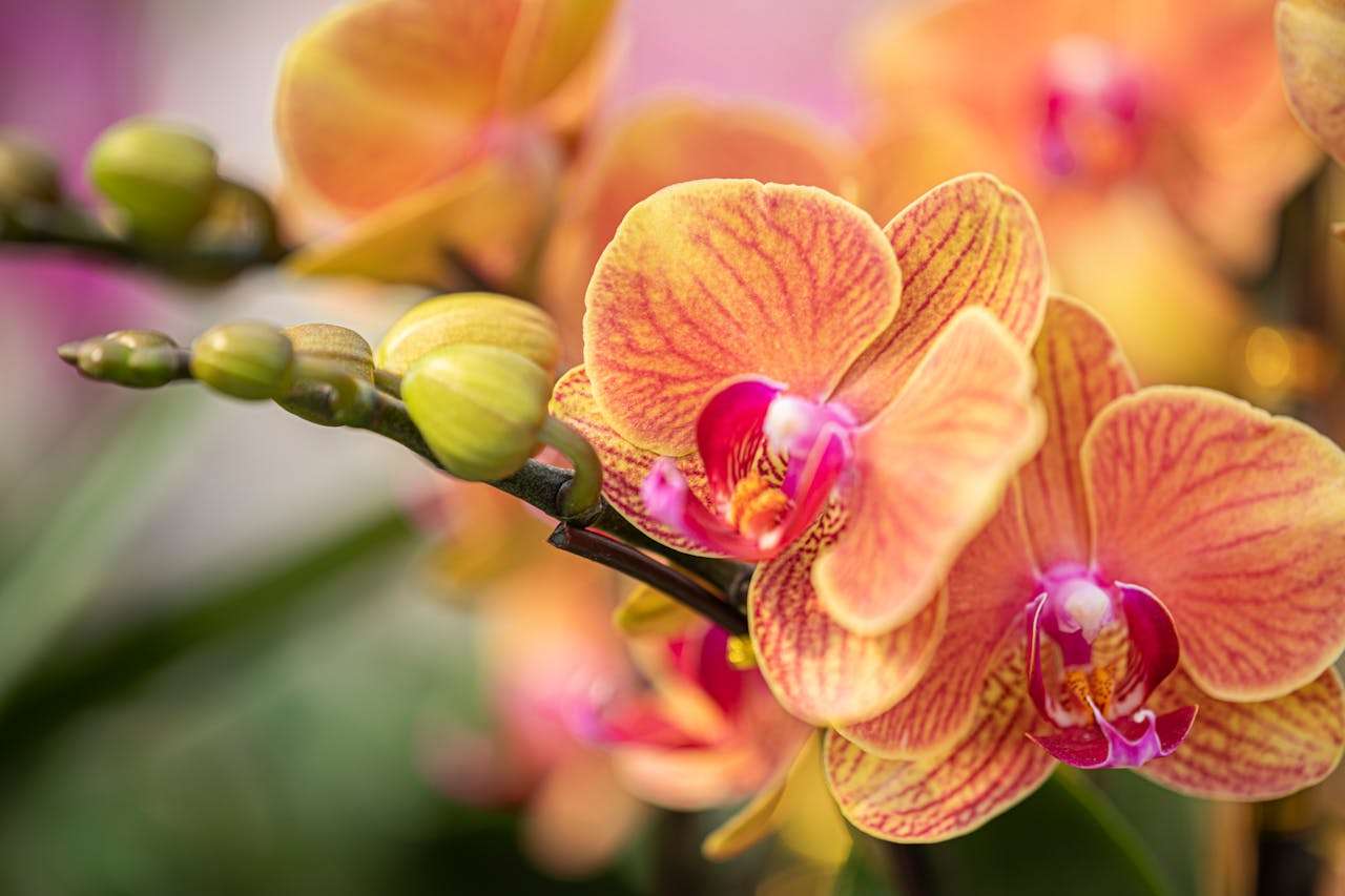 建立长期合作：5个英文感谢信与客户维护邮件模板