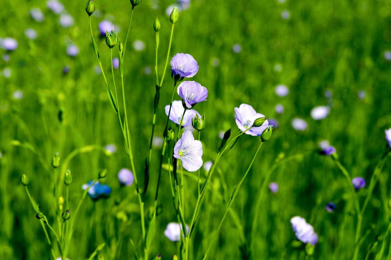 高中英语作文万能模板5套：开头+正文+结尾，写作不再难