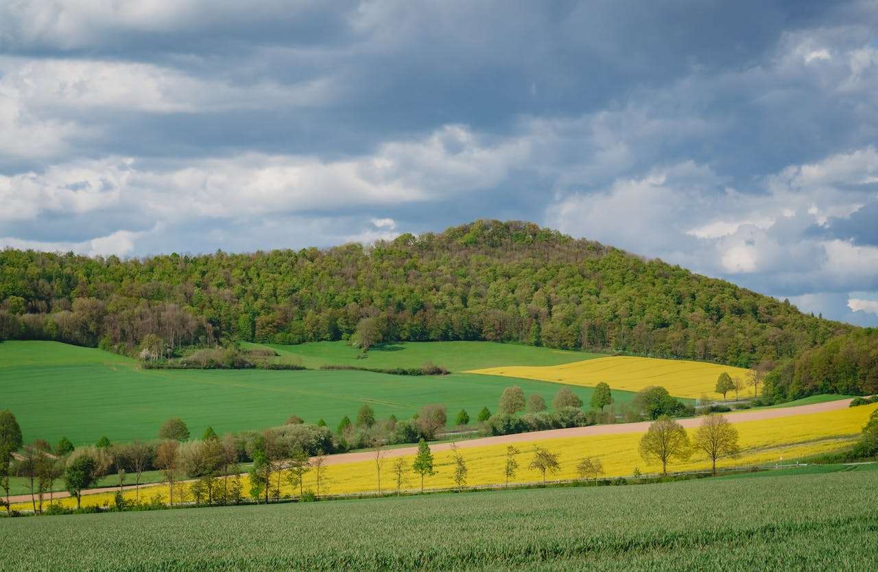 合作终止也能体面收场：7个英文结束合作邮件模板