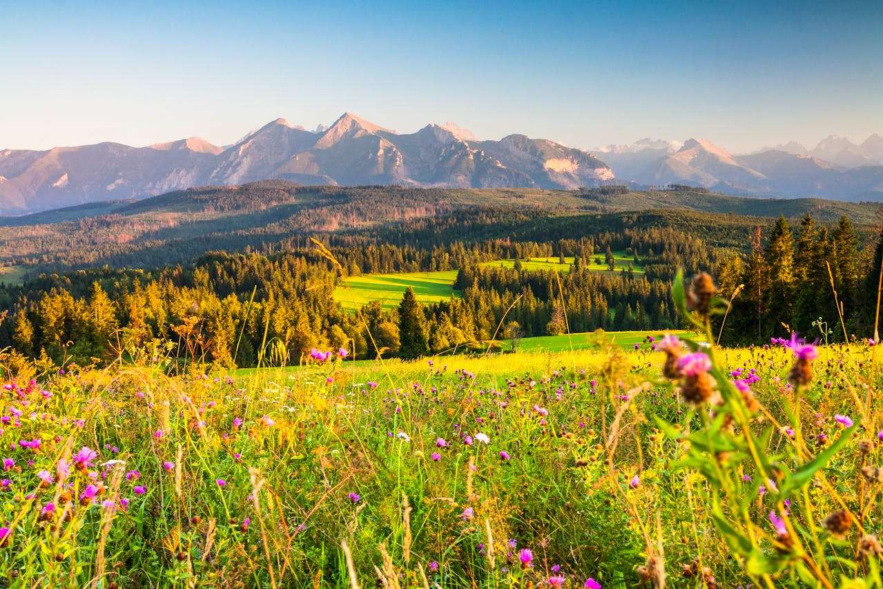 高效沟通从这开始：12个英文邮件开场白与结尾模板合集