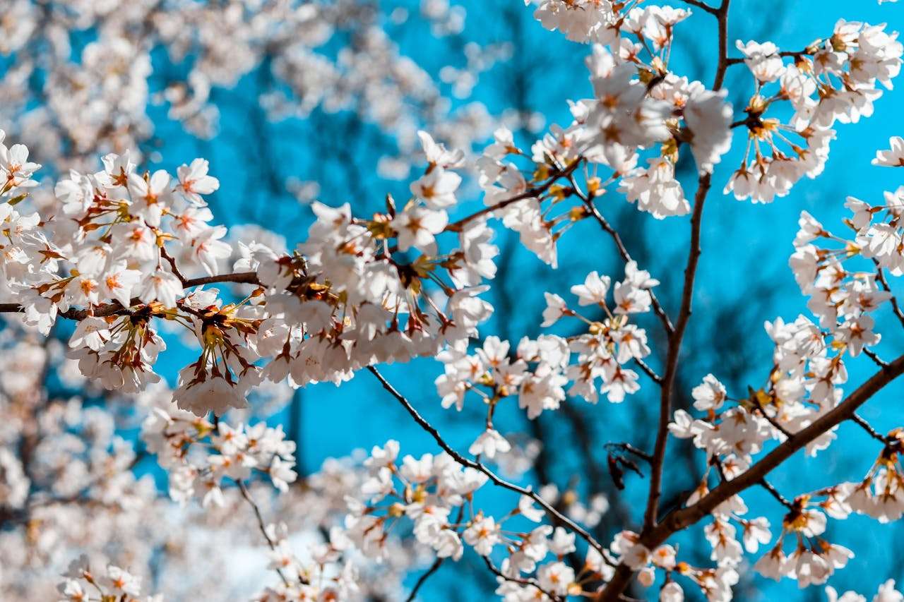 跨文化交流英语作文3篇：理解差异，促进融合