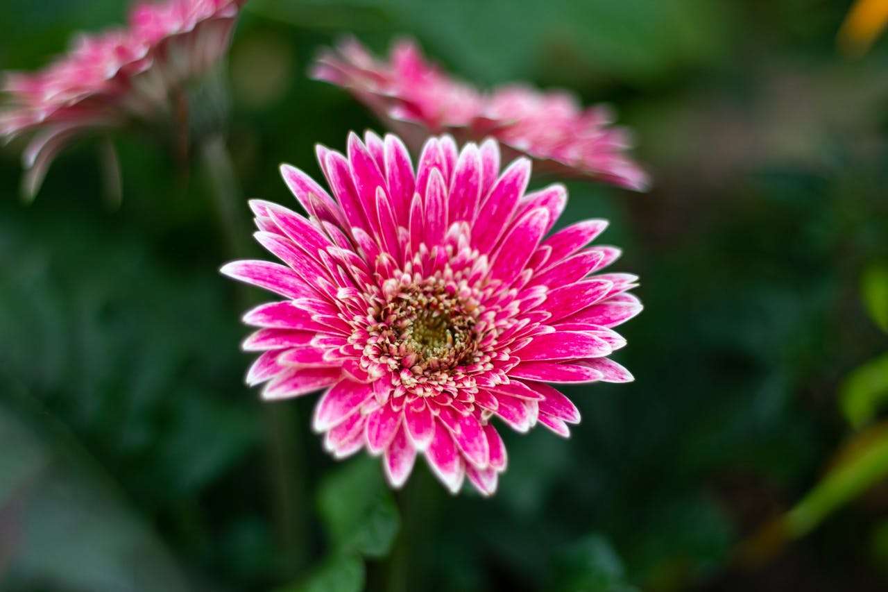 客户投诉怎么办？8个英文售后处理邮件模板轻松应对