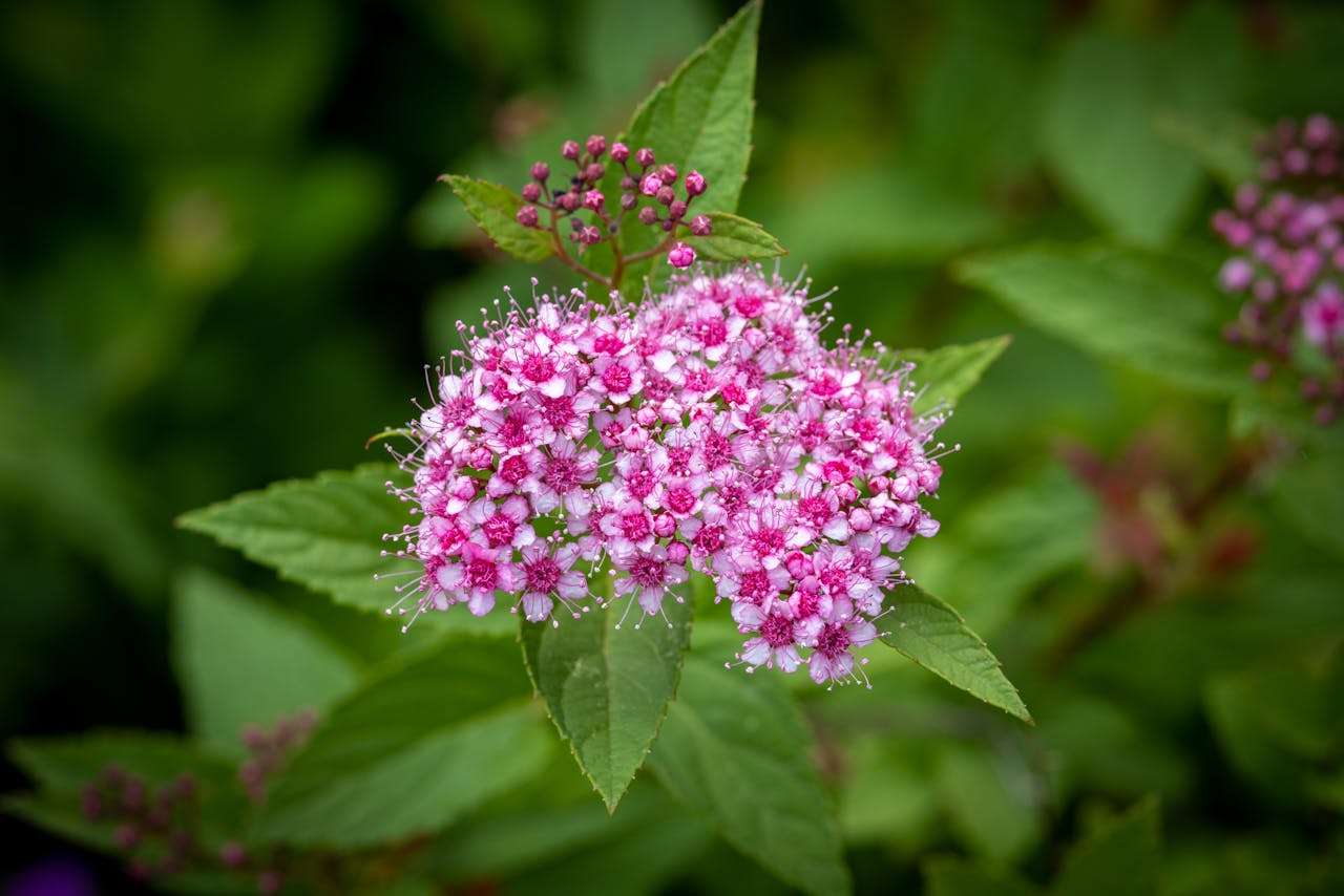 样品寄出后怎么跟进？9个英文跟进邮件模板轻松搞定