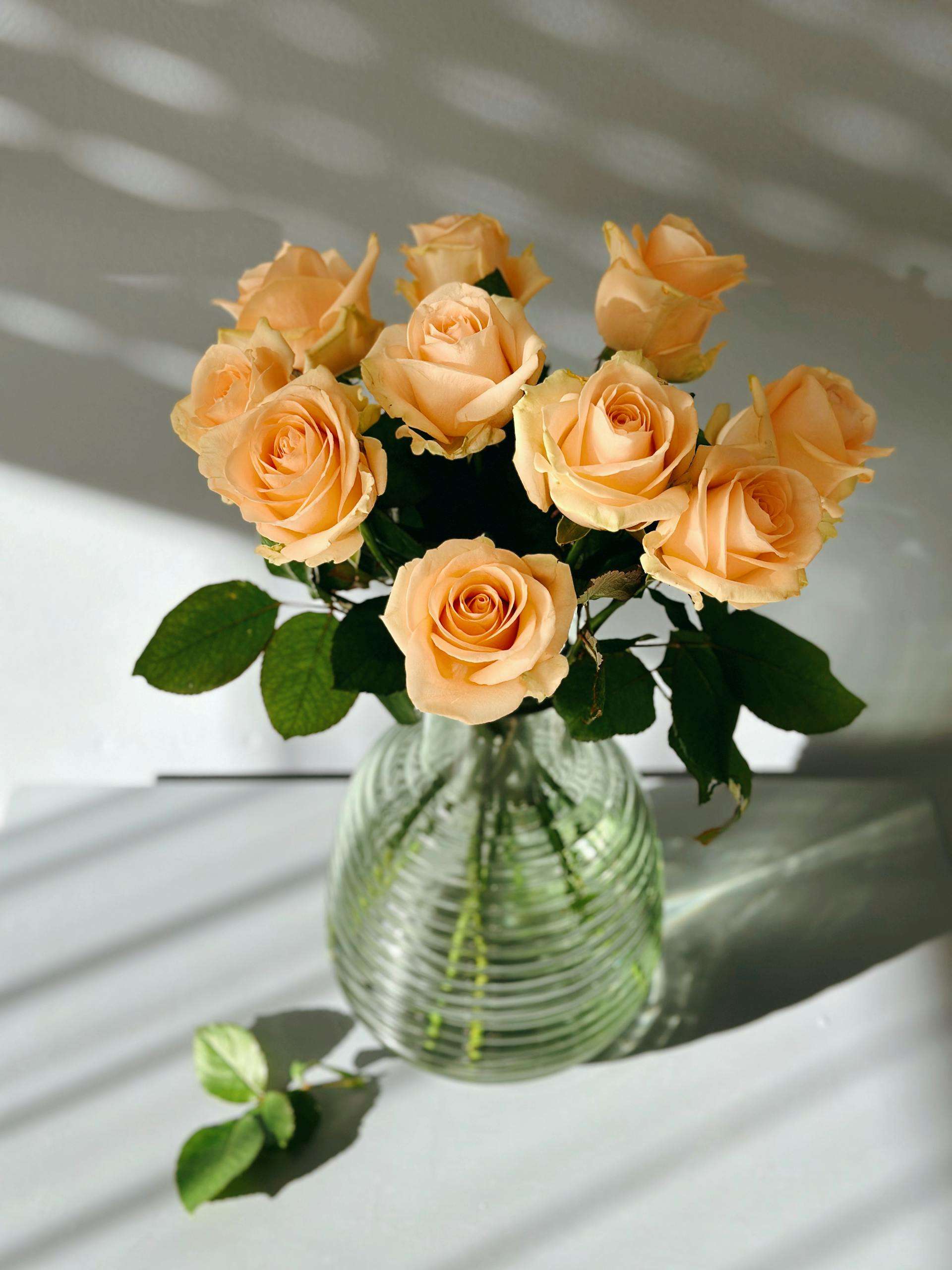 从询盘到成交：6个英文订单确认邮件模板，流程全解析