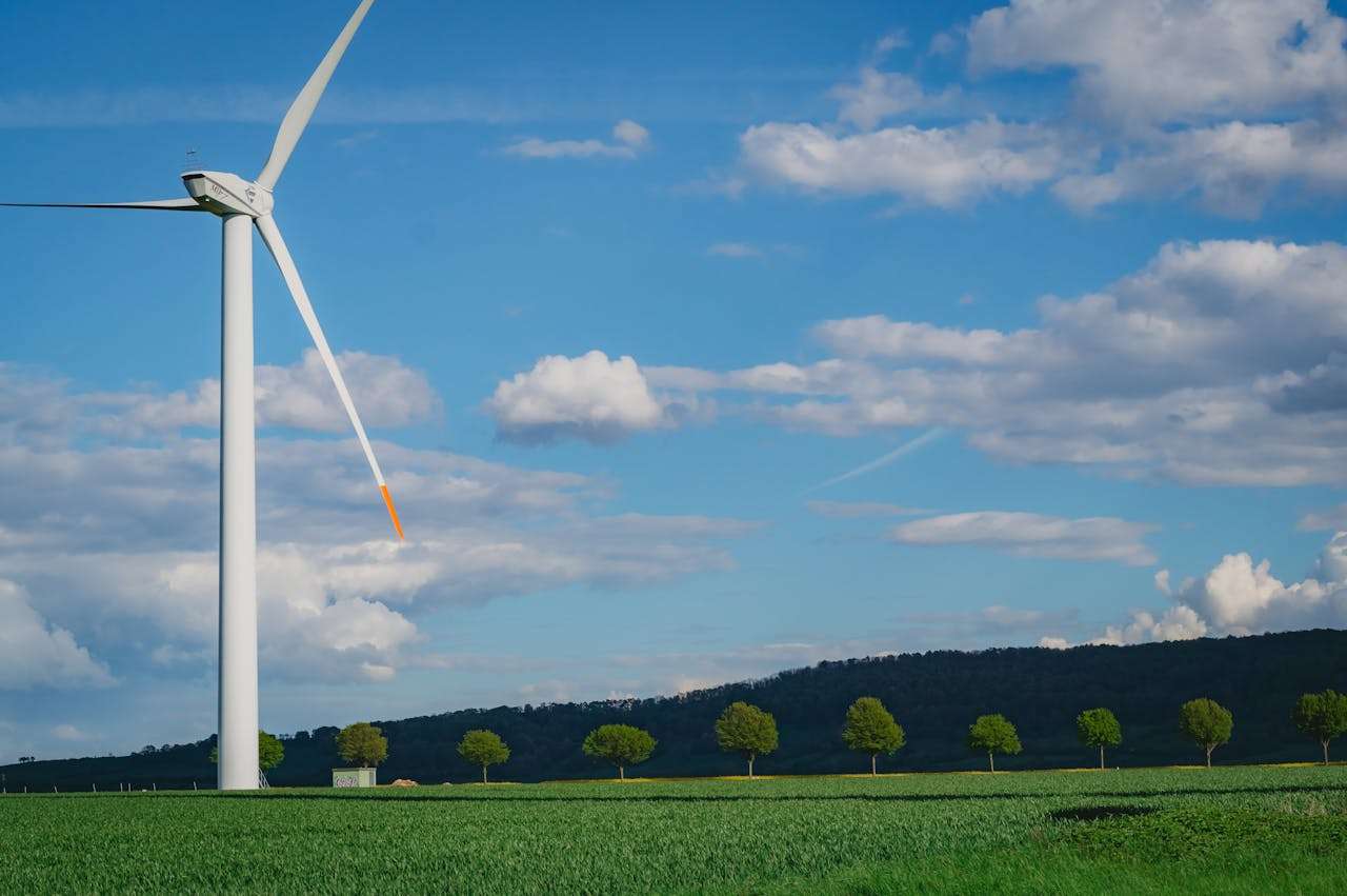 环保类英语作文怎么写？6篇高中英语作文教你逻辑清晰表达观点